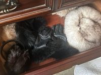 Two fur hats, a pair of black leather gloves with fur cuffs, and black fur scarf laid out in a drawer.