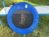 Top-down view of round Goodlife Fitness trampoline with torn blue padding and black mat with logo.