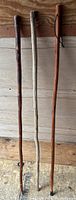 Full view of the three wooden walking sticks standing upright against a wood-paneled background.