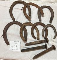 Photo showing seven rusted antique metal horseshoes laid out on cloth surface alongside three large rusted antique metal railroad nails.