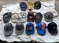 Photo showing all 14 baseball hats laid out on fabric, including various brands and both new and old hats