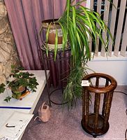 Photo of spider plant in terracotta pot on black metal mosaic plant stand, wooden umbrella/plant stand nearby, small potted plant on white table, plastic watering can on floor.