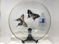 Glass charger plate with hand painted butterflies and gold rim, displayed on black stand with a water bottle for size reference.