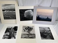 Six mounted landscape photographs displayed; includes two Maui photos featuring Silversword plant and four other desert and coastal landscapes, some black and white, one color.