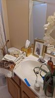 Bathroom vanity with sink, towels, swan soap dispenser, tissue box, framed floral art visible in mirror, and faux plant pot partly visible.
