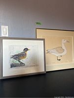 Two framed bird artworks displayed side by side on a table