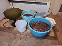 Overview of vintage plant pots including ceramic pots with soil and frosted green glass compote
