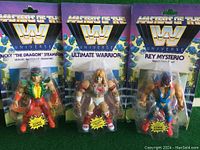 Front view of all three Masters of the Universe WWE figures in sealed packaging together.