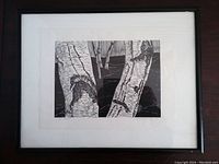 Framed view of the black and white birch tree woodcut print by the artist.