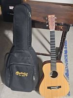 Front view of guitar and gig bag