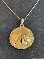 Close-up front view of gold filled sand dollar pendant on thin chain necklace.