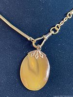 Full view of brown agate stone pendant hanging on gold tone chain, showing pendant shape and chain style.