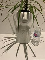 Front view of the white planter with a plant inside next to a water bottle for size reference.