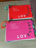 Two Lovevery play guides stacked on a soft surface, highlighting covers and tabs for 5-6 months and 9-10 months age groups.
