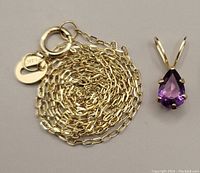 Chain coiled beside detached gold pendant on neutral background