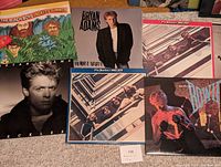 Close-up photo focusing on 6 records featuring The Beach Boys, Bryan Adams, David Bowie, and The Beatles 1962-1966 album, showing cover condition.