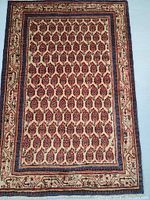 Full view of the rectangular rug showing all-over paisley design and borders, color red, cream and blue.