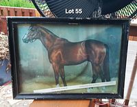 Framed vintage print of Northern Dancer horse with some visible wear and loose fit in the black frame.
