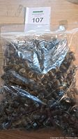Plastic bag filled with numerous black stainless steel flanged hex head bolts, labeled with lot number 107.