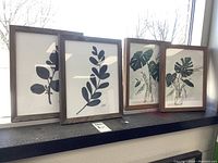 Wide shot of all four framed botanical prints on display, showing two different leaf designs with rustic wood frames and glass protection.