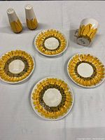 Top view of 4 saucers, coffee cup on side, and salt & pepper shakers showing painted floral design and condition issues