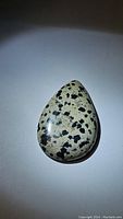 Photo showing the front side of the pear-shaped Dalmatian Jasper cabochon pendant with beige base and distinctive black spots.