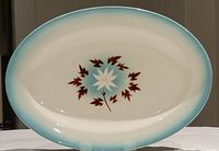 Full view of the Grindley Hercules oval vitrified plate showing overall design with turquoise rim and central floral motif.