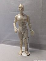 Full front view of 19 inch acupuncture model showing the complete body covered in acupuncture markings, standing on a white circular base with metal supporting rod.