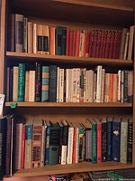 Bookshelf with classic literature and contemporary novels, various colors, hardcover and paperback.