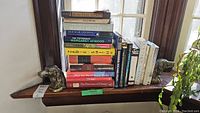 Full view of wooden shelf holding two cast metal dog head bookends supporting an assortment of novels and books.