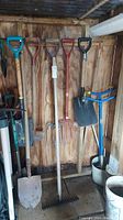 Photo showing several long-handled garden tools against wooden wall, including shovels, spades, pitchforks, edger, and hoe.