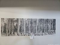 Front view of long rectangular black and white birch tree canvas print mounted on wall, showing full design.