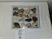 Top-down view of glass-top display box containing 16 rock and mineral specimens set on white padding, showing diversity of minerals and crystals.