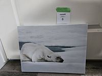 Front view of wrapped canvas wall art depicting a resting polar bear on ice.
