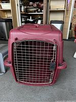 Front view of maroon plastic kennel crate with metal wire door closed and locked