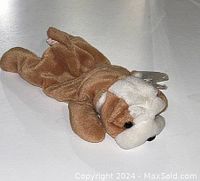 Photo of a Beanie Babies plush toy dog in brown and white colors lying on a surface, showing front and side profile.