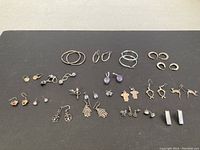 Wide shot of all 23 pairs of earrings arranged on black background