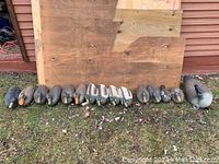 Photo showing 14 duck decoys arranged side by side on grass with wood panel backdrop. Various species including mallard and wood ducks.