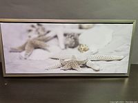 Framed print with starfish and seashells on a white background, horizontal rectangular shape.