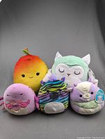 Photo shows five Squishmallows plush toys arranged on a grey surface: mango, owl, axolotl, zebra, llama. Two with tags.