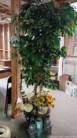 Full view of 7-foot tall faux ficus tree with floral arrangements at base, in a basket planter with two galvanized lanterns nearby.