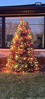 Full view of a medium-sized outdoor display Christmas tree wrapped in multiple strings of multi-colored vintage Christmas lights emitting a warm glow at dusk.