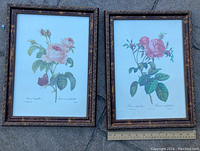 Two framed botanical prints side by side, showing pink rose illustrations with leaves and detailed text, ornately carved wooden frames with glass.