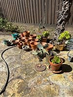 Wide view of many terracotta planters arranged on stone patio outdoor area, including some with succulents and cacti.