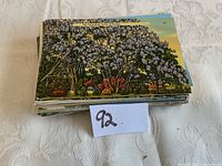 Stack of post cards with prominent card showing a jacaranda tree in bloom