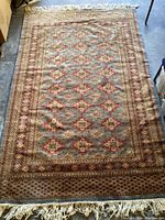Full view of rectangular area rug laid flat, showing overall pattern and fringe edges.