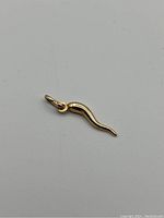 Close-up view of the front of the gold cornicello charm on a plain background.