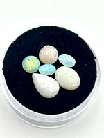 Top-down view of five opal gemstones arranged on black velvet in a clear circular display case.