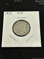 Obverse side of the 1937 Buffalo Nickel showing the Native American profile inside a white cardboard holder.