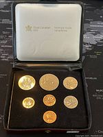 Photo of the full coin set inside the black lined case with Royal Canadian Mint branding on white cover.